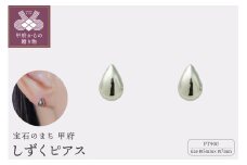 〈 甲府ジュエリー 〉【甲府ジュエリー】Pt900プラチナ　しずくピアス　5×7ｍｍ（19702158）