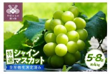 〈2025年度配送分〉【全房糖度測定済み】 山梨県産 特選シャインマスカット 5～8房（約4kg) シャインマスカット 先行予約 2025年 山梨県 ブドウ 種なし リピーター多数 数量限定 草生栽培 5～8房 約4.0kg 糖度測定 2025年8月上旬より順次配送予定
