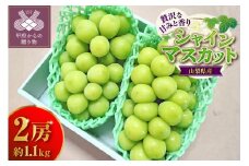 【2025年配送分】シャインマスカット 2房 約1.1ｋｇ