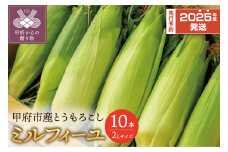 〈2025年度発送分〉甲府市産もろこし（品種：ミルフィーユ）２Lサイズ　10本入