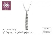 〈 甲府ジュエリー 〉K10 縦長 5石 ダイヤモンド ネックレス プチ ホワイトゴールド J-505