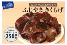 富士山の大自然が育てた「ふじやま きくらげ」(生きくらげ200g、乾燥きくらげ25gx2) きくらげ 木耳 鉄分 生 乾燥 きのこ 山梨 富士吉田