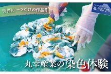 【工業用染色機】を使用した染色体験 染色体験 体験チケット タイダイ染め 染色 体験 山梨 富士吉田