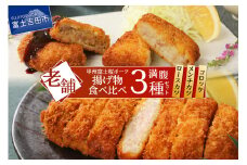 甲州富士桜ポーク　揚げ物食べ比べ満腹セット ロースカツ メンチカツ コロッケ 揚げ物 食べ比べ 富士吉田 山梨