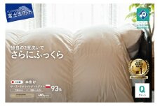 羽毛掛けふとん （クイーン） ポーランド産ホワイトダックダウン93％ 【創業100年】 羽毛布団 掛け布団 寝具 抗菌防臭 防ダニ加工 回収キット付き 山梨 富士吉田