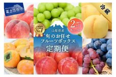 期間限定 【2回配送】 旬のお任せ フルーツボックス 定期便 （8月・9月） 果物 シャインマスカット 山梨県産 桃 旬 先行予約 2024年 高級 ぶどう 山梨 富士吉田