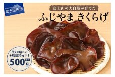 富士山の大自然が育てた「ふじやま きくらげ」(生きくらげ200g×2、乾燥きくらげ50g×2) 国産 きくらげ 木耳 鉄分 生 乾燥 きのこ 富士山 ふじやま キクラゲ 生きくらげ 200g×2 乾燥きくらげ 50g×2 有機JAS オーガニック 山梨 富士吉田