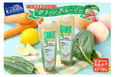 【年間12回配送 定期便】富士の恵み ルバーブグリーンスムージー 定期便 年12回 配送 スムージー グリーンスムージー ルバーブ りんご 果汁 山梨県 富士の恵み 果物 フルーツ 桃 健康 飲料 富士山 水 野菜 ジュース ご馳走定期便 山梨 富士吉田