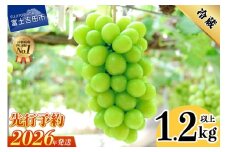 【2026年先行予約】山梨県産 シャインマスカット2房 (1.2kg以上)　フルーツ シャインマスカット 果物 旬 高級 山梨 富士吉田市