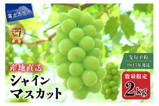 【2025年発送】【数量限定】【期間限定】産地直送 高級シャインマスカット2kg以上（3～4房） フルーツ 山梨県産 シャインマスカット 果物 旬 数量限定 期間限定 先行予約 高級 2025年発送 山梨 富士吉田市