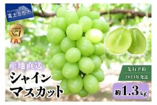先行予約【高級】山梨県産 シャインマスカット 2房 （約1.3kg）【2024年8月下旬から10月中旬頃発送】 果物 旬 数量限定 期間限定 フルーツ 2024年発送 ぶどう 山梨 富士吉田市