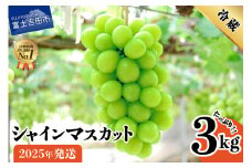 【2025年発送】山梨県産シャインマスカット3kg フルーツ 山梨県産 果物 旬 高級 2025年 ぶどう 山梨 富士吉田市