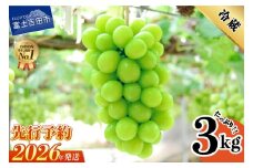 【2026年発送 先行予約】山梨県産シャインマスカット3kg フルーツ 山梨県産 果物 旬 高級 シャインマスカット ぶどう 山梨 富士吉田市