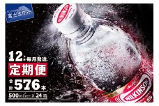 【12ヶ月お届け！】炭酸水 ウィルキンソン タンサン 2箱 (48本入り) 定期便 12回 アサヒ 強炭酸水 炭酸 水 炭酸水ウィルキンソン 山梨 富士吉田