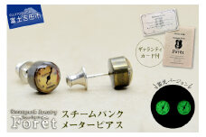 Steampunk スチームパンク メーター ピアス ピアス ジュエリー アクセサリー スチームパンク 圧力 メーター 両耳用 プレゼント ギフト 山梨 富士吉田