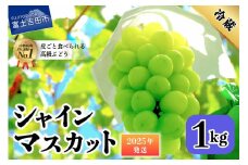 【2025年発送】山梨県産 シャインマスカット 約1kg(2房)　 シャインマスカット ぶどう シャイン 山梨県産 フルーツ 果物 産地直送 数量限定 山梨 富士吉田市