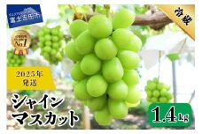 2025年発送【フルーツ王国】 山梨県産 シャインマスカット 約1.4kg(2~3房) フルーツ 果物 数量限定 期間限定 高級 2025年発送 山梨 富士吉田市
