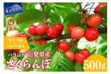 【2025年発送】【数量限定】【期間限定】山梨県産 紅秀峰 さくらんぼ (500g) バラ詰め フルーツ 山梨県産  数量限定 期間限定 さくらんぼ 果物 産地直送 山梨 富士吉田市