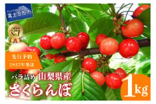 【2025年発送】【数量限定】【期間限定】山梨県産 紅秀峰 さくらんぼ (1kg) バラ詰め フルーツ 山梨県産  数量限定 期間限定 さくらんぼ 果物 産地直送 山梨 富士吉田市