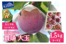 【2025年発送】【数量限定】【期間限定】【高級プラム】貴陽 大玉1.5kg(8玉～9玉)　フルーツ 山梨県産 数量限定 期間限定 プラム 果物 旬 高級 2025年 山梨 富士吉田市