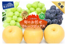【9月配送】旬のお任せフルーツボックス