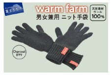 手袋 光吸収発熱ウール 「 ウォームファーム　ニット手袋 」 チャコールグレー 暖かい ウール 発熱素材 レディース メンズ 秋 冬