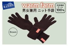 手袋 光吸収発熱ウール 「 ウォームファーム　ニット手袋 」 ブラウン 暖かい ウール 発熱素材 レディース メンズ 秋 冬