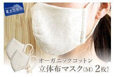 立体布マスク Mサイズ　2枚組