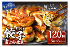 こだわりつづけた無敵味！富士山北麓餃子120個！ 餃子 ぎょうざ 冷凍餃子 小分け 冷凍 山梨 富士吉田