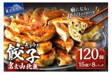 こだわりつづけた無敵味！富士山北麓餃子120個！ 餃子 ぎょうざ 冷凍餃子 小分け 冷凍 山梨 富士吉田