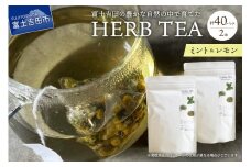 メール便発送 ハーブティーセット(ミント&レモン) ティーバッグ40個  ミント レモン 柑橘系ハーブ セット ノンカフェイン SDGs 山梨 富士吉田