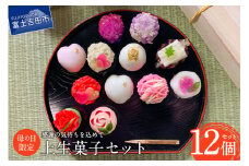 【先行予約】母の日 ギフト 上生菓子 12個セット 贈答用 箱入り 【2025年5月7日発送予定】 富士夢和菓子　富士夢和菓子 スイーツ 和菓子 餡 練り切り 上生菓子 ギフト 贈答 プレゼント 山梨 富士吉田
