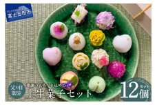 【先行予約】父の日 ギフト 上生菓子 12個セット 贈答用 箱入り【2025年6月11日発送予定】富士夢和菓子 スイーツ 和菓子 餡 練り切り 上生菓子 ギフト 贈答 プレゼント 山梨 富士吉田