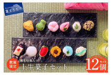 【数量限定】 お中元 ギフト 上生菓子 12個セット 贈答用 箱入り スイーツ 和菓子 餡 練り切り 上生菓子 ギフト 贈答 プレゼント 山梨 富士吉田