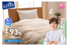【甲州羽毛肌掛けふとん】手洗いできるロイヤルゴールドホワイトグース93％（クイーン/アイボリー）  羽毛布団 布団 ふとん 寝具 掛け布団 肌掛け クイーン 肌掛け 山梨 富士吉田