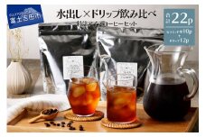 フレスカ特注 こだわりアイスコーヒーセット （ピラミッド型・ドリップバッグ） 水出し アイスコーヒー ドリップ 自家焙煎 焙煎珈琲 コーヒー こだわり 山梨 富士吉田