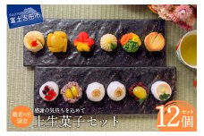 敬老の日 ギフト 上生菓子 12個セット 贈答用 箱入り 【2025年9月11日発送予定】　和菓子 上生菓子  スイーツ ギフト 贈答 山梨 富士吉田