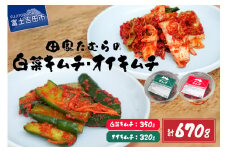本場韓国人の作るキムチ！田家たむらの白菜キムチとオイキムチのセット 本場 手作り 国産野菜 白菜 きゅうり 胡瓜 本格発酵キムチ 韓国キムチ ヤンニョム 漬け物 唐辛子 浅漬け 発酵食品 おかず 本場韓国人の作るキムチ