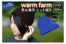 ニット帽 光吸収発熱ウール「 ウォームファーム ニット帽子 」ブルー ニットキャップ 無地 秋 冬 レディース メンズ