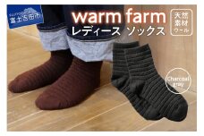 光吸収発熱ウール「ウォームファーム　ソックス」チャコールグレー