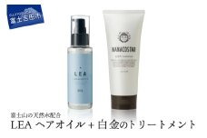 美髪 ボタニカルヘアトリートメント と 希少植物性オイル配合 ヘアオイル セット ヘアオイル トリートメント サロン仕様 低刺激性 オレンジ ベルガモット ヘアケア プレゼント NANACOSTAR 希少植物性オイル 山梨 富士吉田