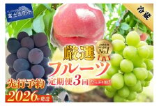【2026年発送 先行予約】【定期便】 厳選 フルーツ3回定期便  厳選 フルーツ 3回 定期便 シャインマスカット 桃 黒ぶどう 果物 フルーツ くだもの 旬 もも ぶどう 山梨 富士吉田