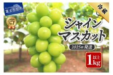 【2025年発送】ジューシーで甘さ抜群　厳選シャインマスカット1kg以上 数量限定 期間限定 シャインマスカット ぶどう シャイン フルーツ 果物 山梨 富士吉田市