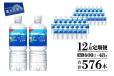 水 定期便 【12か月お届け】 「アサヒおいしい水」富士山のバナジウム天然水 2箱(48本入）PET600ml 12回 水定期便 ミネラルウォーター 毎月 天然水 飲料水 防災 備蓄 ストック 防災グッズ 保存 山梨 富士吉田