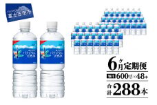 水 定期便 【6か月お届け】 「アサヒおいしい水」富士山のバナジウム天然水 2箱(48本入）PET600ml 6回 水定期便 ミネラルウォーター 毎月 天然水 飲料水 ストック 保存 備蓄 防災 防災グッズ 山梨 富士吉田