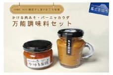 万能調味料セット（風呂敷包み） 肉味噌 バーニャカウダ かけるお肉 自家製 天然醸造  無添加 味噌入り 和風  万能調味料  ご飯のお供 山梨 富士吉田