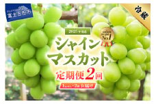 【2025年発送】【2回定期便】ジューシーで甘さ抜群 厳選シャインマスカット1kg以上×2回配送 ぶどう 果物 フルーツ 旬 山梨県 2025年 山梨 富士吉田市