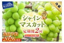 【2026年発送 先行予約】【2回定期便】ジューシーで甘さ抜群 厳選シャインマスカット1kg以上×2回配送 ぶどう 果物 フルーツ 旬 山梨県 2026年 山梨 富士吉田市