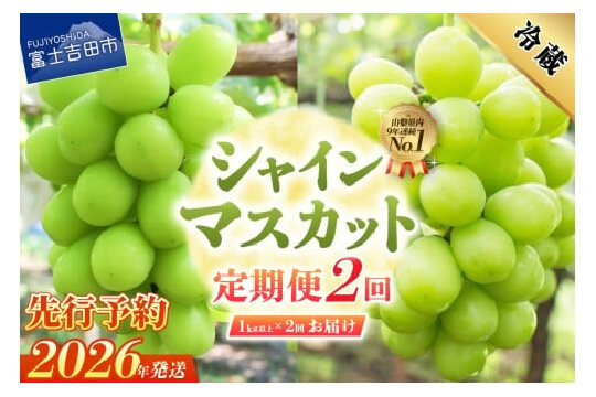 【2026年発送 先行予約】【2回定期便】ジューシーで甘さ抜群 厳選シャインマスカット1kg以上×2回配送 ぶどう 果物 フルーツ 旬 山梨県 2026年 山梨 富士吉田市