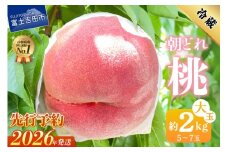 【2026年先行予約】山梨の朝どれ桃2kg　大玉5玉～7玉  もも 山梨県産 モモ 厳選 フルーツ 果物 くだもの 山梨 富士吉田市